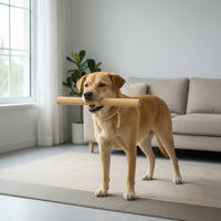 Dog Training Stick Solid Wood Dog Training Tool Lightweight