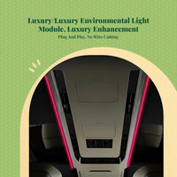 Velfire 20/30 Ceiling Mood Light