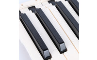 Electronic Keyboard Keys Long-Lasting Black and White Key Set Wear-Resistant