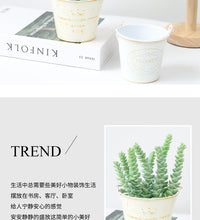 Mini Vintage Iron Bucket Flower Pot for Succulents, Desktop Decor
