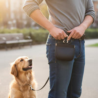 Pet Training Pouch Portable Dog Treat Bag Hand Hands-Free for Walking, Outdoor