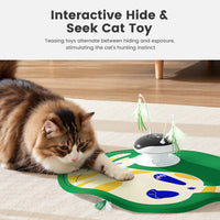 4-in-1 Pet Laser Toy and Cat Teaser Wand
