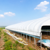 Black and White Greenhouse Film, Light Blocking, Waterproof, for Shrimp Farm and Indoor Cultivation