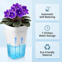 Self-Watering Plant Pot with Tray, Plastic, for Succulents and Seedlings