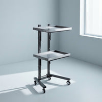 2-Tier Salon Trolley Mobile Beauty Trolley Space-Saving Salon Tray Cart for Hairstylists, Hair Salons