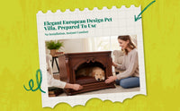 Sturdy wood indoor cat house