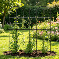 Pointed Arch Plant Trellis Decorative Archway Outdoor Decor Heavy-Duty