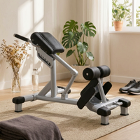 Roman Chair Roller Pads Hyperextension Bench Steel Frame Fitness Equipment for Home Gym
