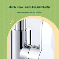Brass core stainless steel faucet