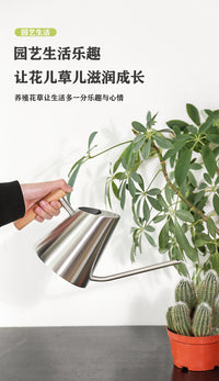 亚马逊不锈钢锥形木柄浇水壶园艺洒水壶一个起批绿植浇花水壶家用