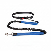 Elastic Leash and Collar Combo Flexible Adjustable Collar Leash Set Metal D-Loop Pet Gear Snap Hook for Walking, Control
