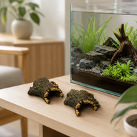 aquarium decoration