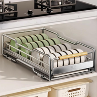 Stainless Steel Pull-Out Dish Rack