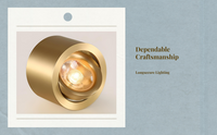 Brass Adjustable LED Spotlight
