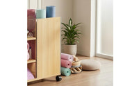 Sports Storage Cabinet Uncovered Shelves Mobile Storage Cabinet Rolling Organizer Compact Easy Reach for Gym
