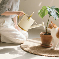 Long Spout Watering Can Leak-Resistant Metal Watering Pot Accents Gardening Tool for Balcony, Office