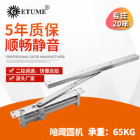 Concealed Door Closer for Heavy Doors (65kg)