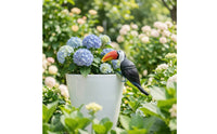 Resin Toucan Colorful Toucan Ornament Detailed for Balconies, Patios