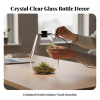 With LED Light Micro Landscape Bottle High Clarity Lichen Terrarium Bottle Elegant Design for Hobbyists, Tabletop, Living Room, Bookshelf