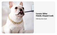 Gold Island Link Pet Adjustable Pet Island Link Chain Fashion Accessory for Cat Owners, Dog Lovers, Special Occasions, Photo Shoots, Daily Wear
