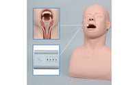 Tracheal Intubation Training Model Realistic for Medical Students