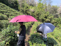 弯钩长晴雨伞背后式专用撑伞肩带户外钓鱼采茶遮阳支撑打伞固定器