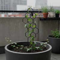 Honeycomb Metal Trellis Iron Honeycomb Trellis Sturdy