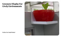 Minimalist Design Partition divider holder Space Saving Cubicle Partition holder adaptable Use Plant Holder Sturdy for Students, Windowsill, Workspace, Study Room