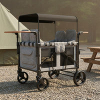 Push Wagon Push Wagon Padded Seats Child Weather Hood Infant Gear