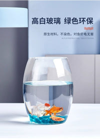创意水族箱生态圆形玻璃金鱼缸 大号乌龟缸 迷你小型造景水培花瓶 35CM鹅蛋+彩石6件套