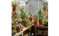 Honeycomb Metal Trellis Iron Honeycomb Trellis Sturdy