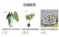 仿真绿植榕树海棠多肉仙人掌 小盆栽 圆叶植物网红办公桌面室内