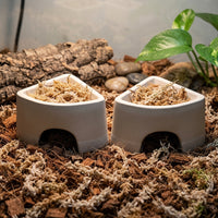 Terracotta Reptile Hide and 60mm Entrance Reptile Hide, Leopard Gecko Terrarium Accessories, Porous Moisture Retaining Cave for Shedding, Pack of 2