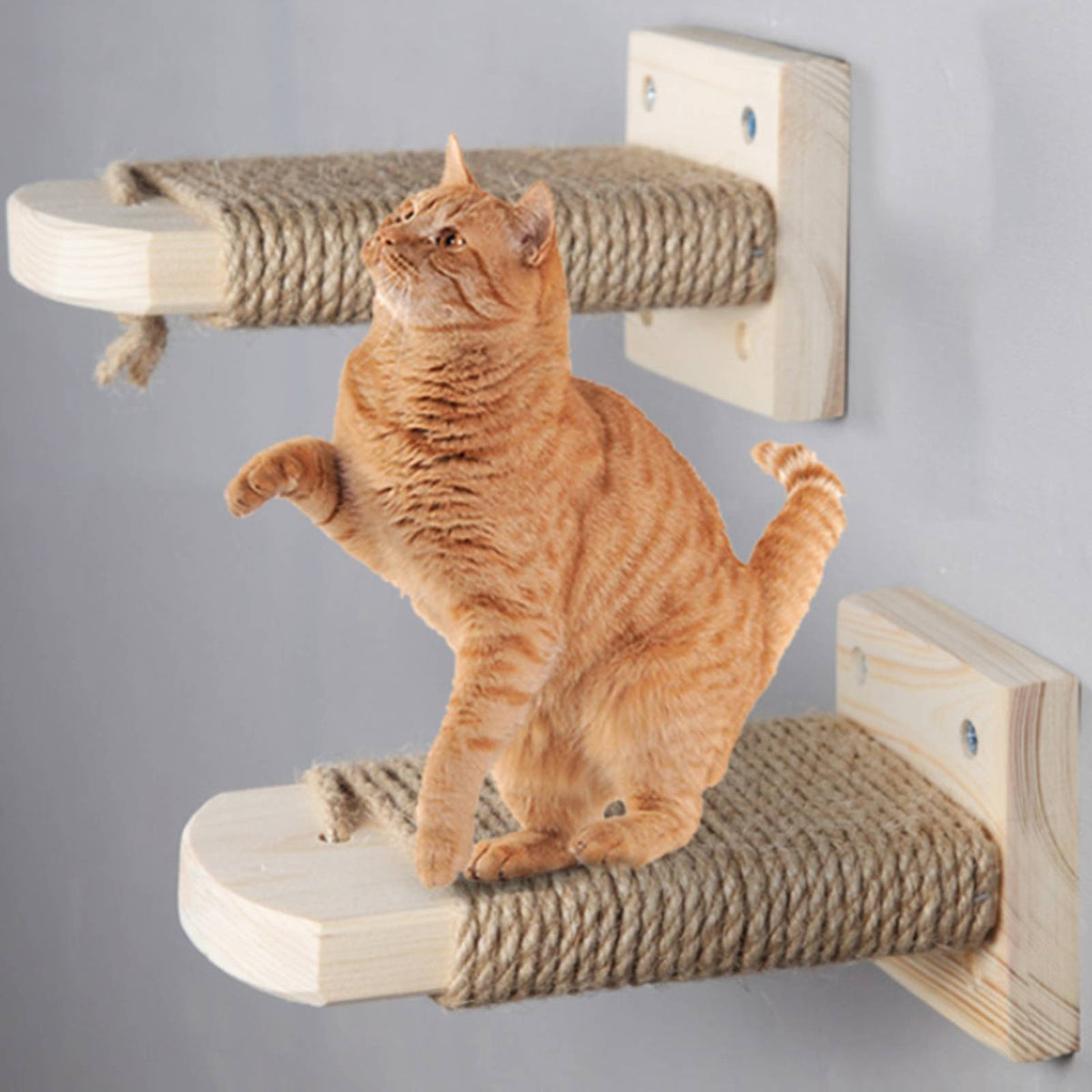 Hardwood Cat Climbing Ladder, Wall-Mounted Cat Stair, No-Drill, Space-Saving Cat Step