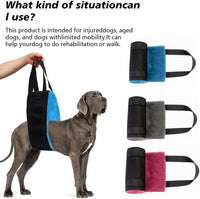 宠物辅助服高龄犬残疾犬行走障碍辅助带狗狗康复伤残带狗后腿残疾