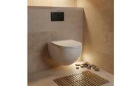 Water-Saving Concealed Cistern Dual Flush Plate Easy to Press Bathroom Hardware for Restroom