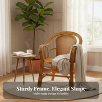 Highspine-supporting Rattan Chair Hand-Woven Home Seating Breathable Design Sturdy Frame for Seniors, Office Workers