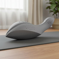 Dolphin Balance Board Mid-Section Strength Fitness Equipment Coordination