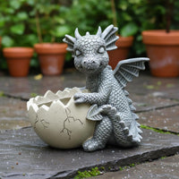 Dragon Planter Decorative Ornament Young Dragon Statue Pot Fantasy Theme Resin Pot for Balcony, Patio, Desktop