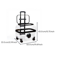 Expandable foldable pet carrier