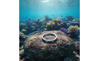 316 Stainless Steel O Loop Dive O Loop Smooth Surface Hardware for Underwater