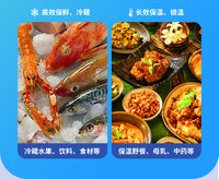 户外露营旅游保温箱摆摊便携烧烤食品保鲜饮料冷藏冷冻箱