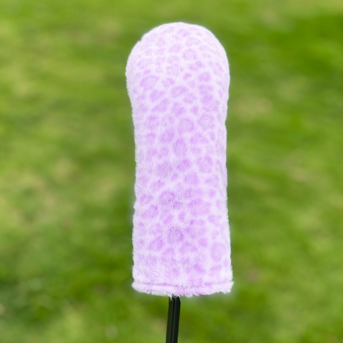 Purple Ut Cover