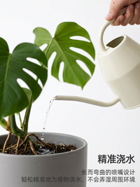 沃施浇水壶长嘴浇花水壶细嘴家用小型浇花壶阳台盆栽植物浇花专用
