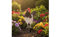 Double-Sided Cock Garden Stake Farmhouse Acrylic Yard Sign with Stake Weatherproof Cock Statue Outdoor for Gardeners, Homeowners, Lawn