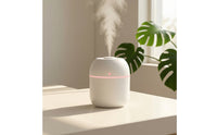 Desktop Humidifier Compact Mini Humidifier Mist Maker Minimalist Appliance Portable for Desk, Office