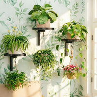 Wall Plant Hook Bracket with Integrated Hook, Quick Install, Indoor/Outdoor, Metal, CL-518
