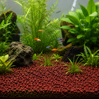 Red Pot Bottom Stone 4.54kg Porous Akadama Soil Aquarium Substrate Soil Volcanic Rock Bonsai Gardening Terrarium