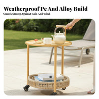2-Tier Rolling Bar Cart Sturdy Frame Mobile Storage Easy Assembly for Homeowners