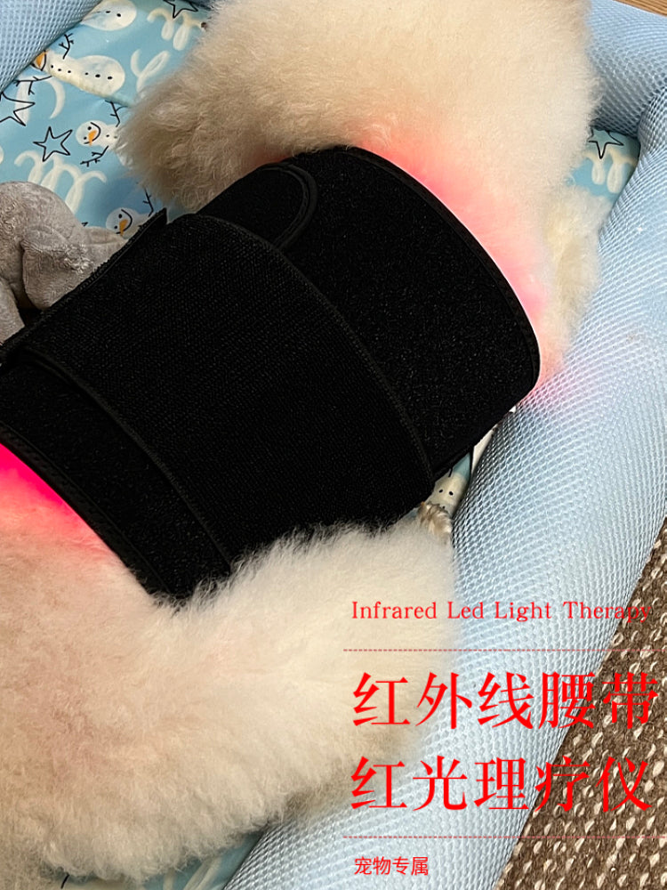宠物红外线红光理疗腰带骨刺髌骨折腰椎髋关节颈椎猫狗光疗烤灯垫